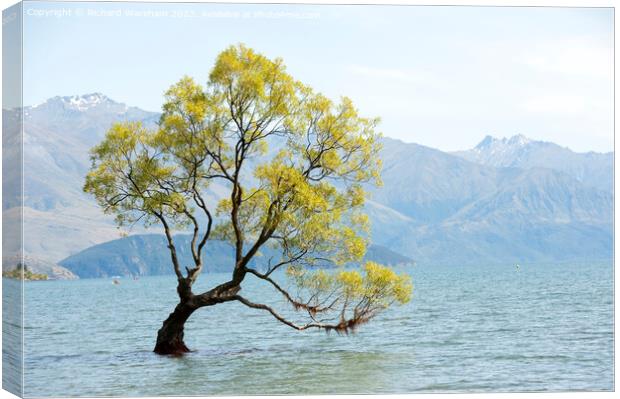 Wanaka Canvas Print by Richard Wareham