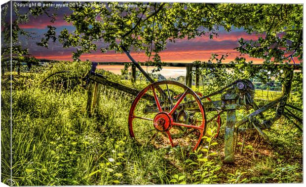  Forgotton Plough Canvas Print by peter wyatt