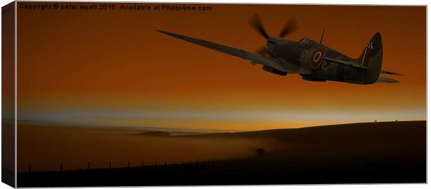  Spitfire over the South Downs Canvas Print by peter wyatt