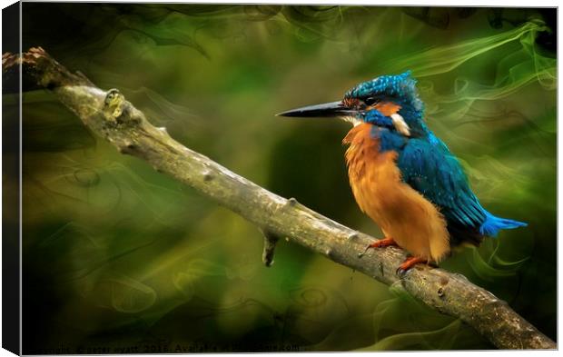 The Kingfisher Canvas Print by peter wyatt