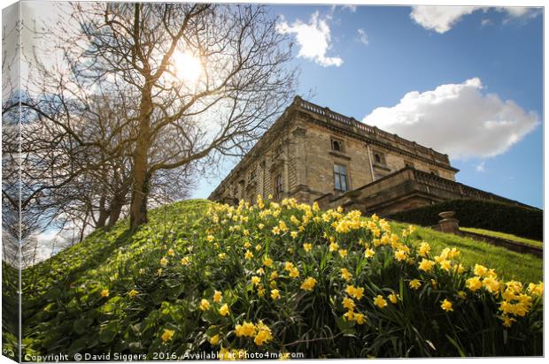 Nottingham Castle in the Sun Canvas Print by David Siggers