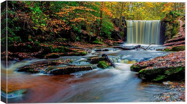 Waterfall at Nant Mill. Canvas Print by Adrian McCabe