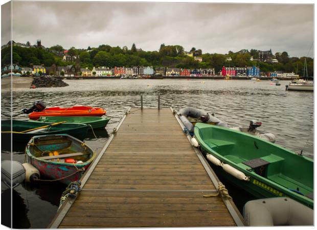 Tobermory view Canvas Print by David Hall