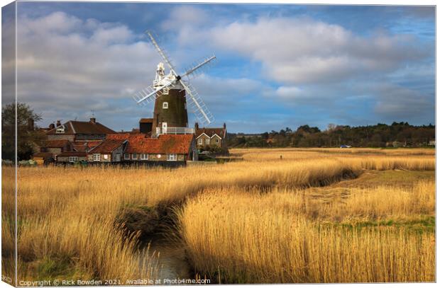 Basking in the Euphoria of the Coastal Countryside Canvas Print by Rick Bowden