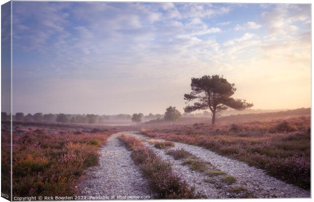 Westleton Heath Dawn Canvas Print by Rick Bowden