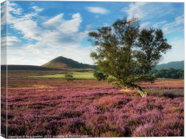 Hawnby Tree Canvas Print by Rick Bowden