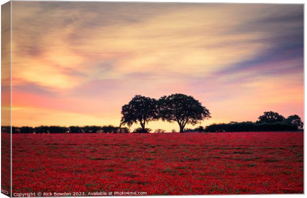 Two Tree Poppy Field Canvas Print by Rick Bowden