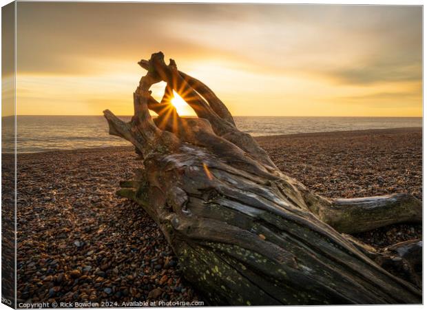 Aldeburgh DriftWood Canvas Print by Rick Bowden