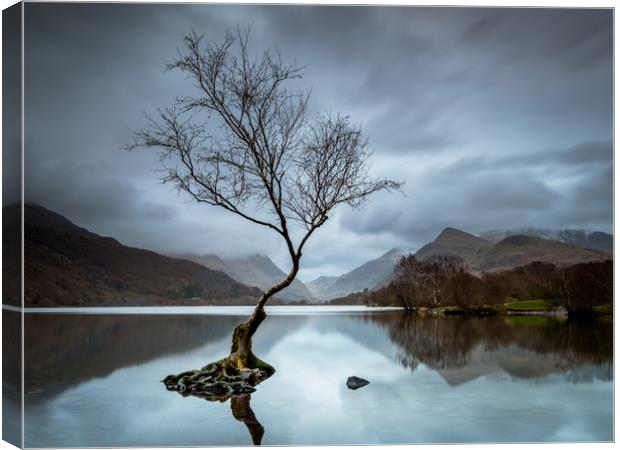 Serenity at Snowdonia Canvas Print by Rick Bowden