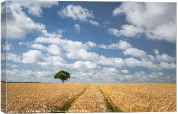 Summer Field and Tree Canvas Print by Rick Bowden