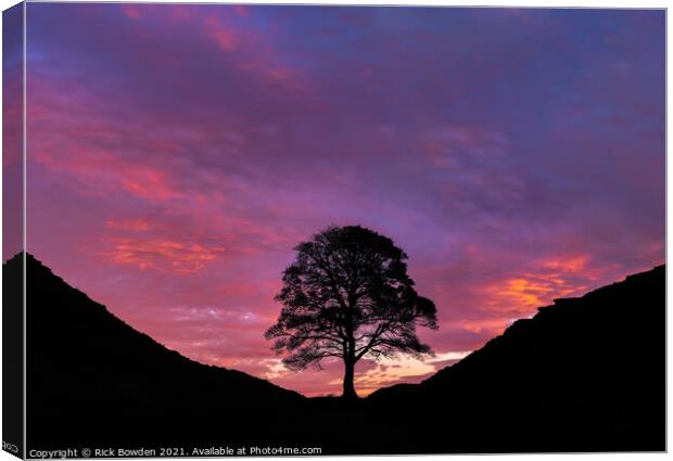Majestic Sunrise at Sycamore Gap Canvas Print by Rick Bowden