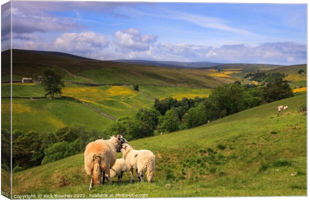 Swaledale Yorkshire Dales Canvas Print by Rick Bowden