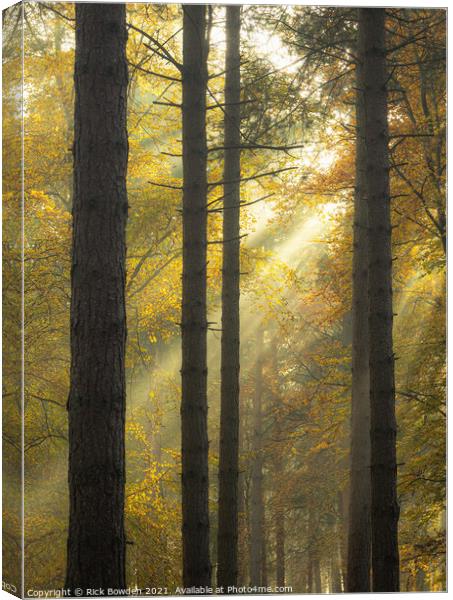 Light Through the Woods Norfolk Canvas Print by Rick Bowden