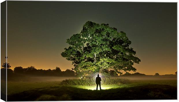  Walking In The Mist Canvas Print by Rob Pitt