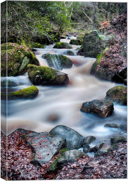 Wyming Brook waterfall Canvas Print by Jason Thompson