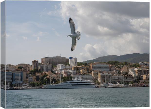 Super yacht  Canvas Print by Jason Thompson