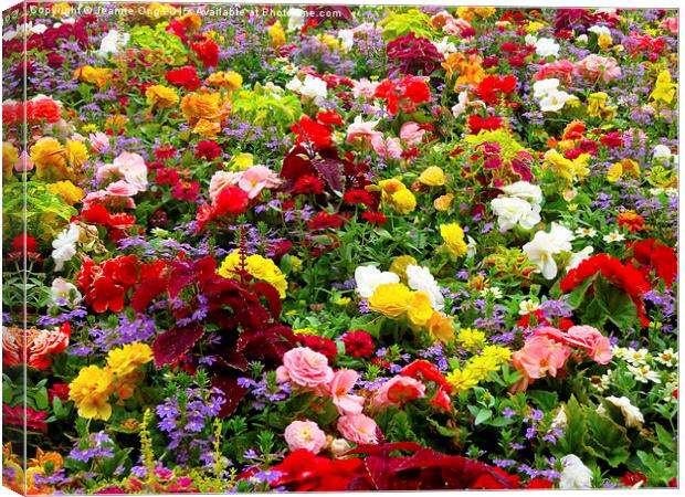 Flower Garden Canvas Print by Jeanne Ong