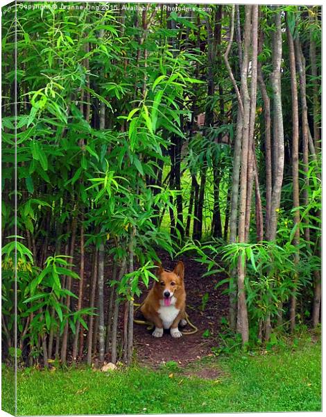 Adorable Dog Waiting for its Owner  Canvas Print by Jeanne Ong