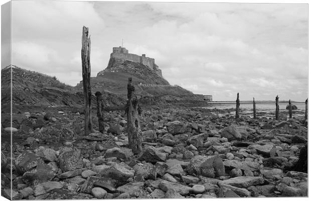  Holy Island Canvas Print by Robert Jones