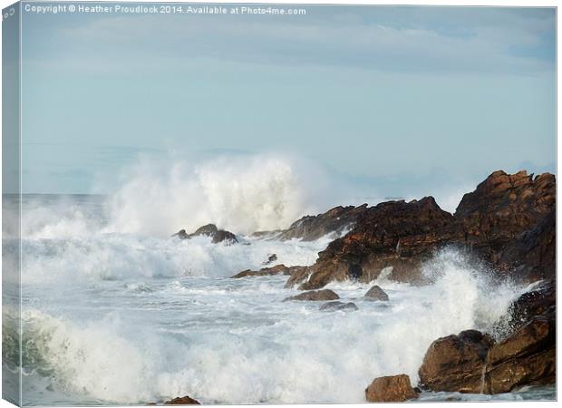  Wild waves at Coldingham Canvas Print by Heather Proudlock