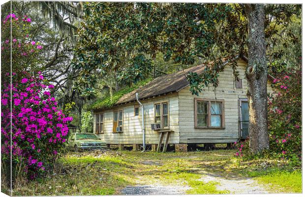Sweet Georgia Country House, sits left in the wild Canvas Print by Iain Tong