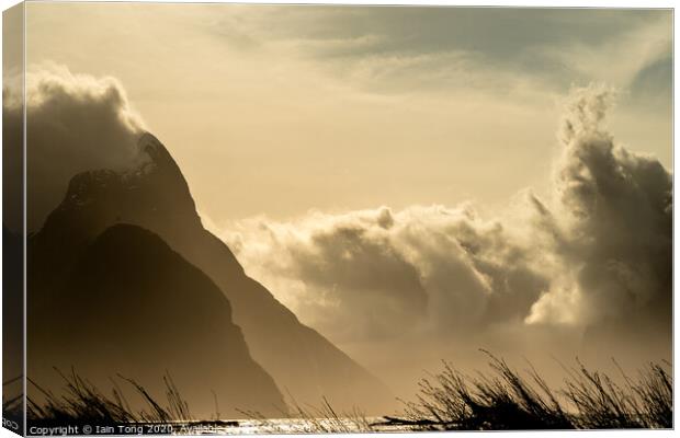 Milford Sound Storm Canvas Print by Iain Tong