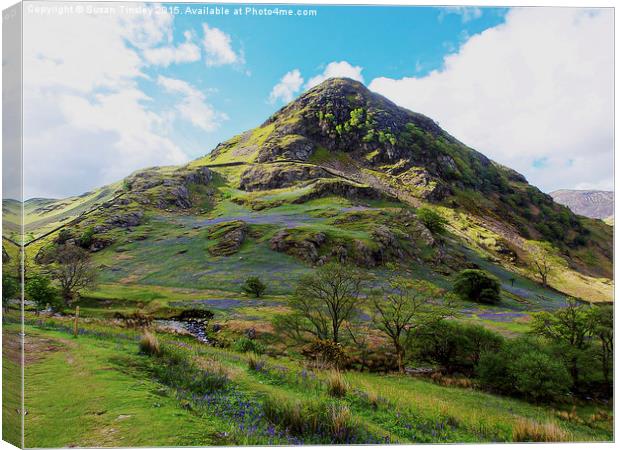 Rannerdale Knotts Canvas Print by Susan Tinsley