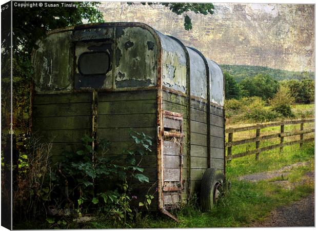 Neglected horse box Canvas Print by Susan Tinsley