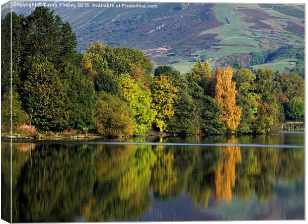 Grasmere reflections Canvas Print by Susan Tinsley