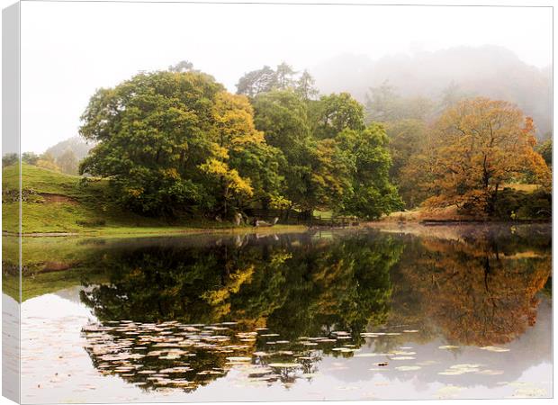 Autumn at Loughrigg Canvas Print by Susan Tinsley