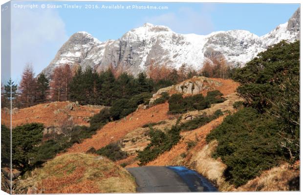 Off the beaten track Canvas Print by Susan Tinsley