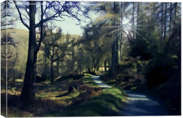 Colwith woodland Canvas Print by Susan Tinsley