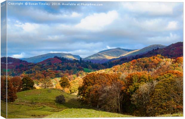 Autumn in the Langdales Canvas Print by Susan Tinsley