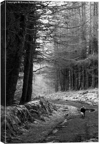  The Road Goes Ever On! Canvas Print by Simon Rees