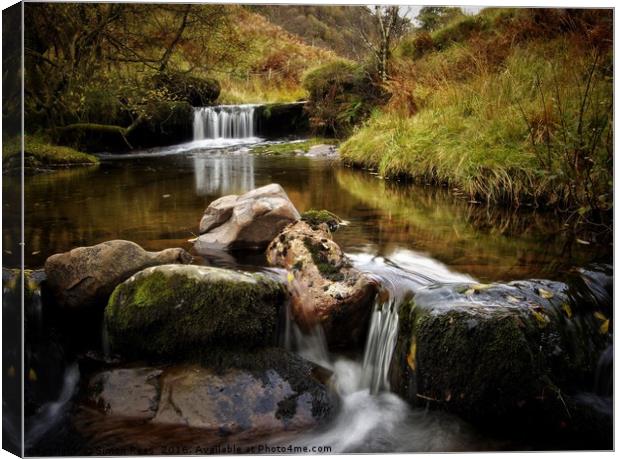 Brecon Beacons Waterfall Canvas Print by Simon Rees