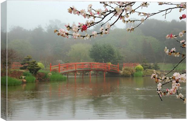 Japanese garden Canvas Print by Peter Righteous