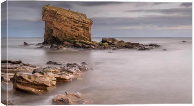 Marsden Rock Canvas Print by Marcia Reay