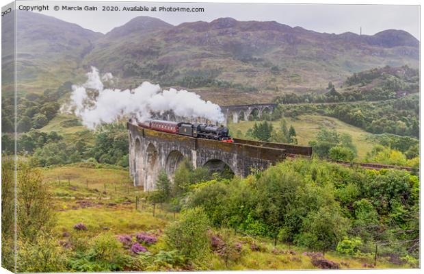 Glenfinnan Jacobite train Canvas Print by Marcia Reay