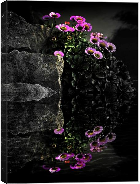  Flower and Rocks Canvas Print by Christian Corbett