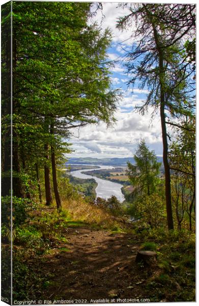 Kinnoull Hill Looking Down on The Tay Canvas Print by Ros Ambrose