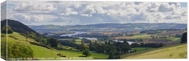 Looking Down the Tay from Kinnoull Hill Canvas Print by Ros Ambrose