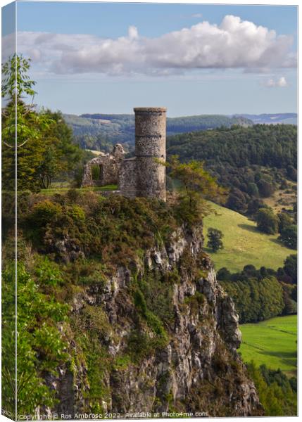 Kinnoull Tower Canvas Print by Ros Ambrose