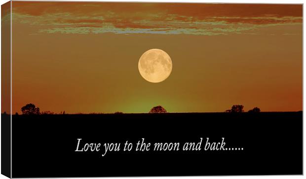 Love You To The Moon And Back  Canvas Print by Ros Ambrose