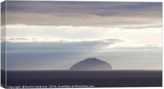 Evening Mist over Ailsa Craig Canvas Print by Ros Ambrose