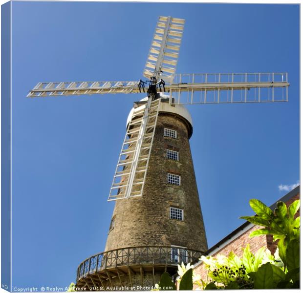 Moulton Windmill Canvas Print by Ros Ambrose