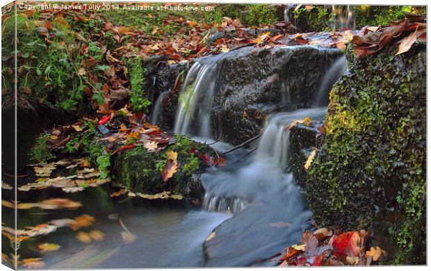  Fall waters, autumn leaves swirl in this pictures Canvas Print by James Tully