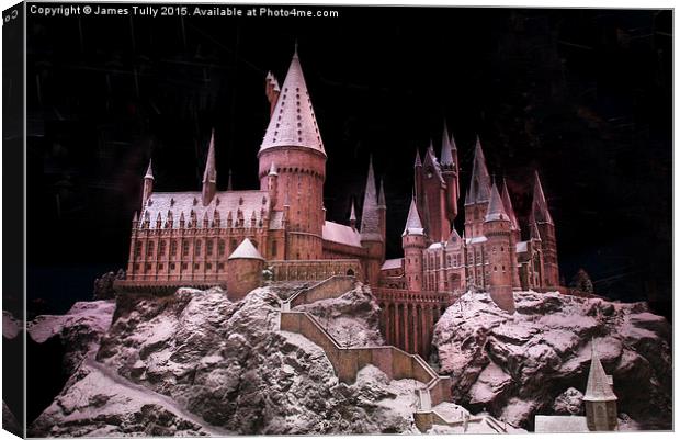  Harry potters pad Canvas Print by James Tully