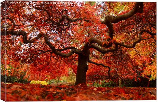 Awesome autumn Canvas Print by James Tully