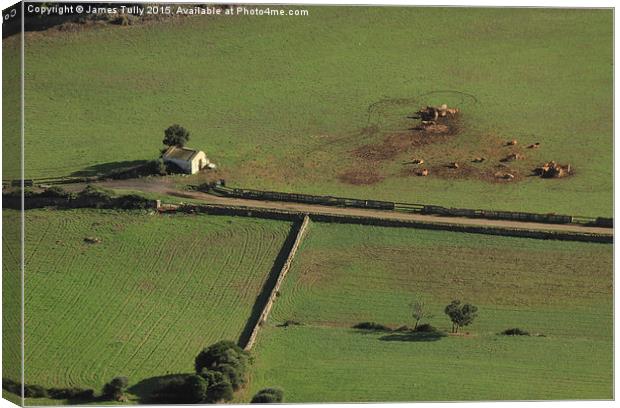  Modern agriculture Canvas Print by James Tully