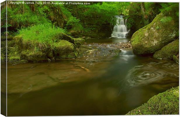  Whirlpool  Canvas Print by James Tully